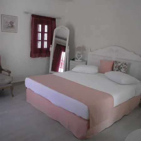 호텔 Alkyoni Naxos City